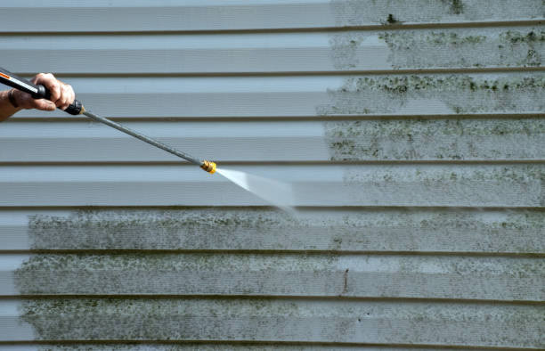 Best Patio and Deck Pressure Washing  in Meadow Oaks, FL